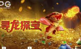 pg软件电脑免费版